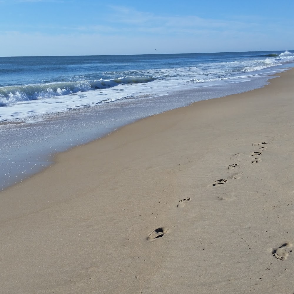 Meet your Posher, Nereida